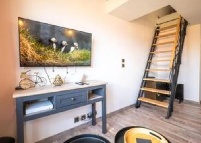 公寓 Duplex Proche De La 卡内